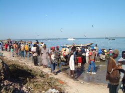 Djifere