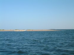 Ile des oiseaux