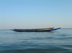 Pirogue