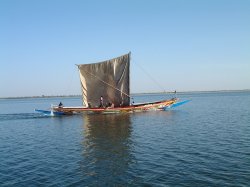 Pirogue