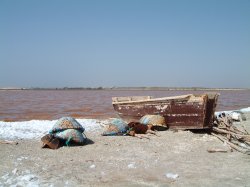 lac-rose-barque.JPG (9732 octets)