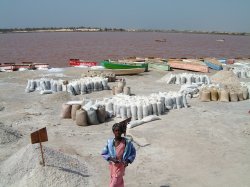 lac-rose-sel.JPG (12540 octets)